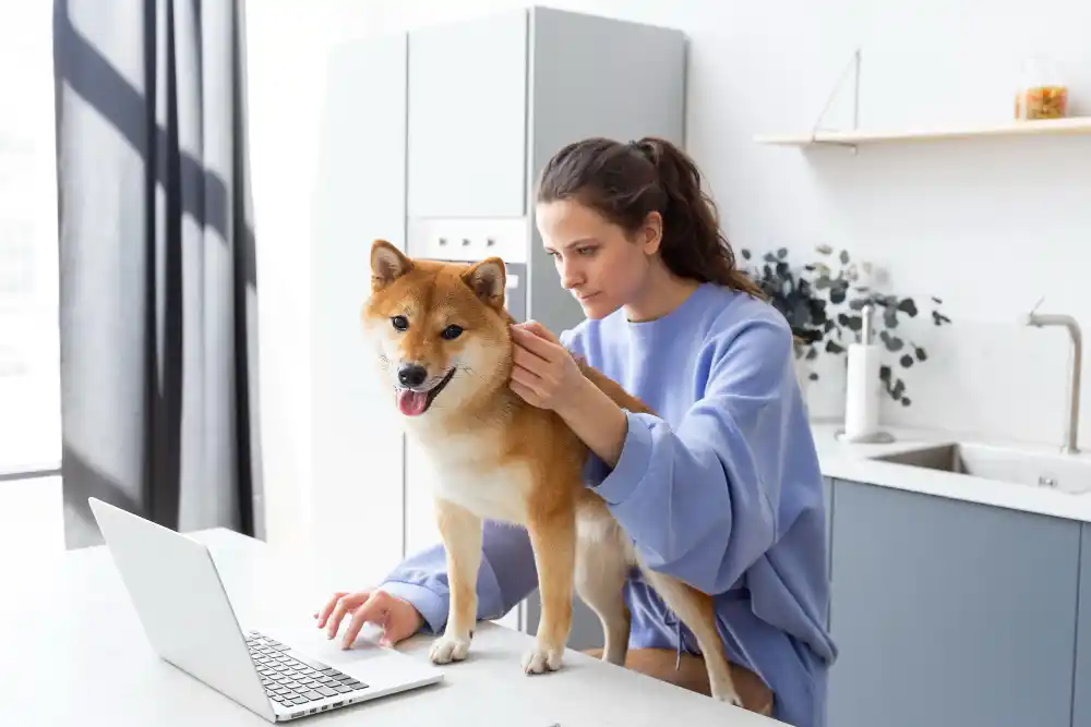 Pet Services