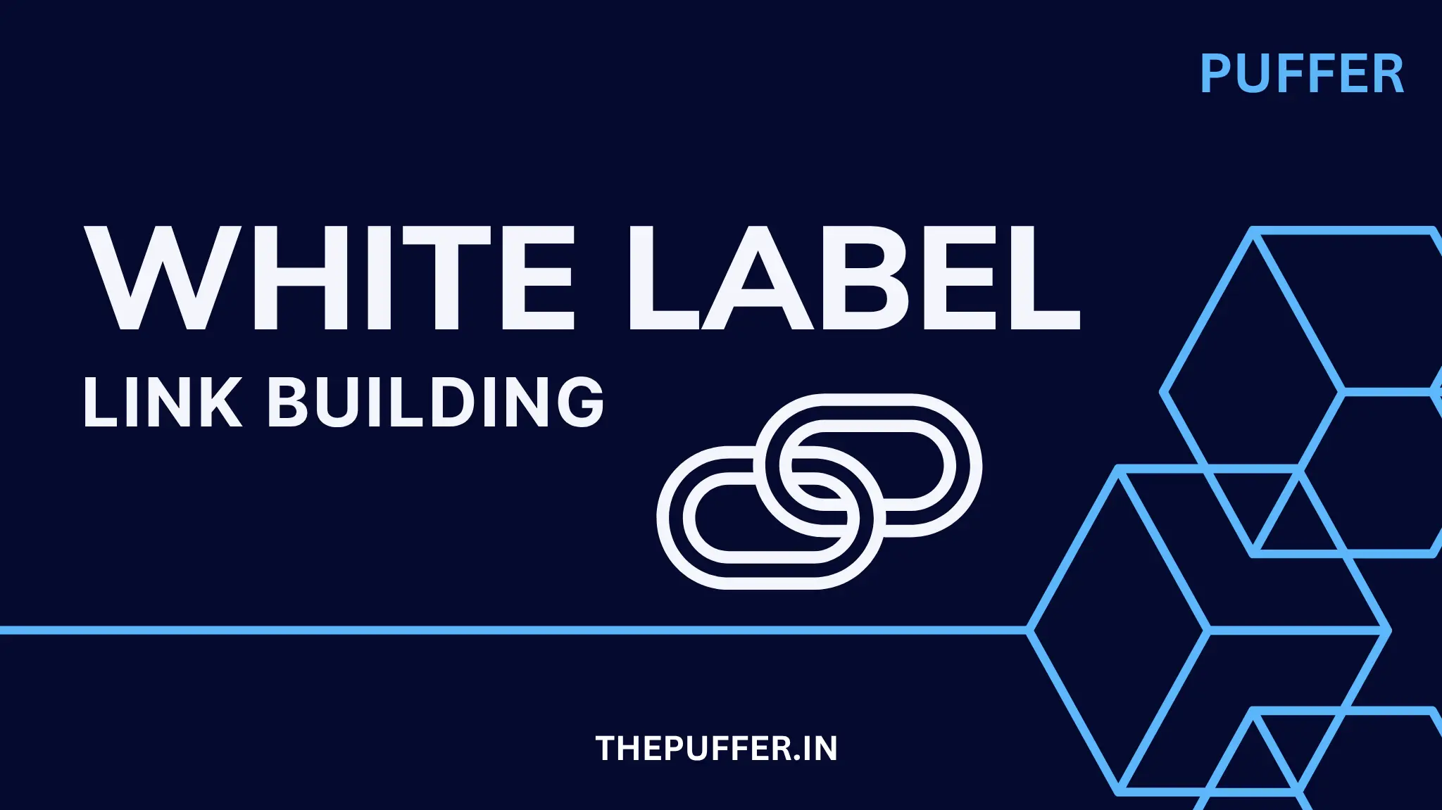 white label link building