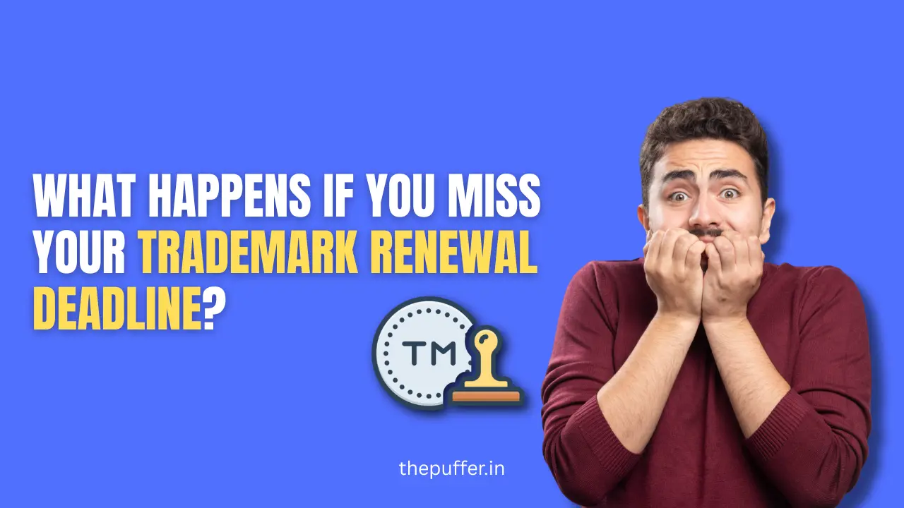 What Happens If You Miss Your Trademark Renewal Deadline?